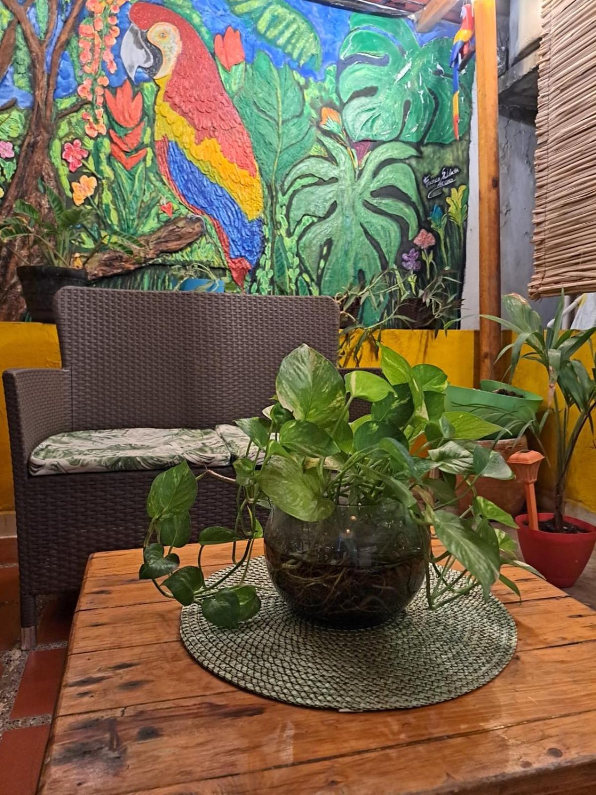 Hostel Shalom Adonai Cartagena Kültér fotó